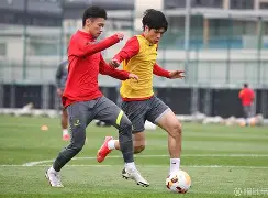 法兰克福对费赖堡